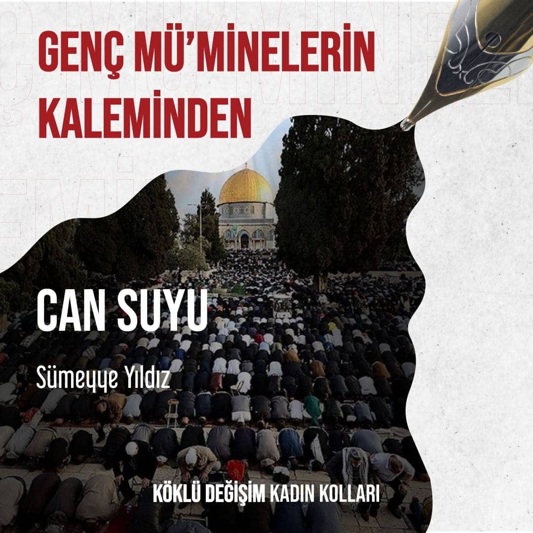 CAN SUYU