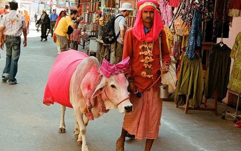 MEB, Hinduizm Etkinliğini Tepkiler Üzerine İptal Etti
