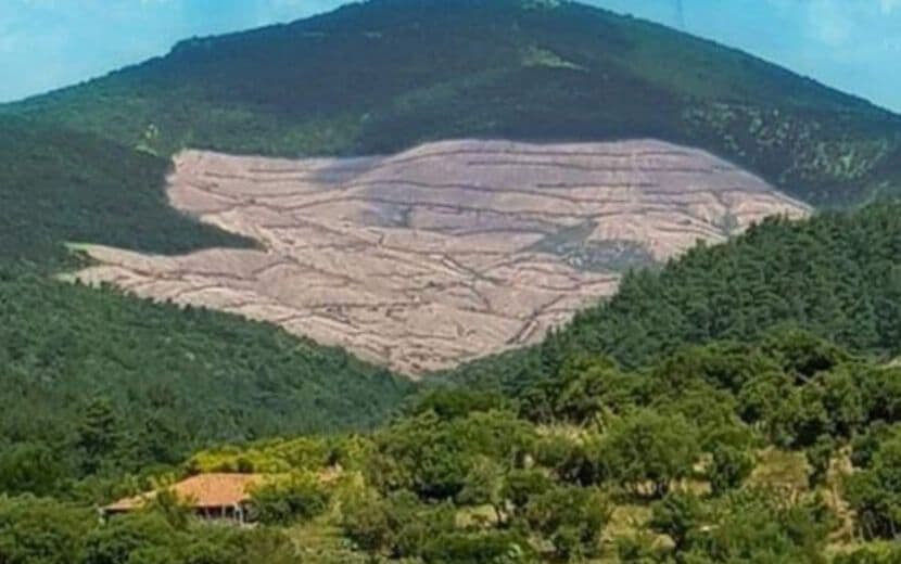 Altın Kaynaklarımız “Yabancı Şirketlere” Peşkeş Çekiliyor