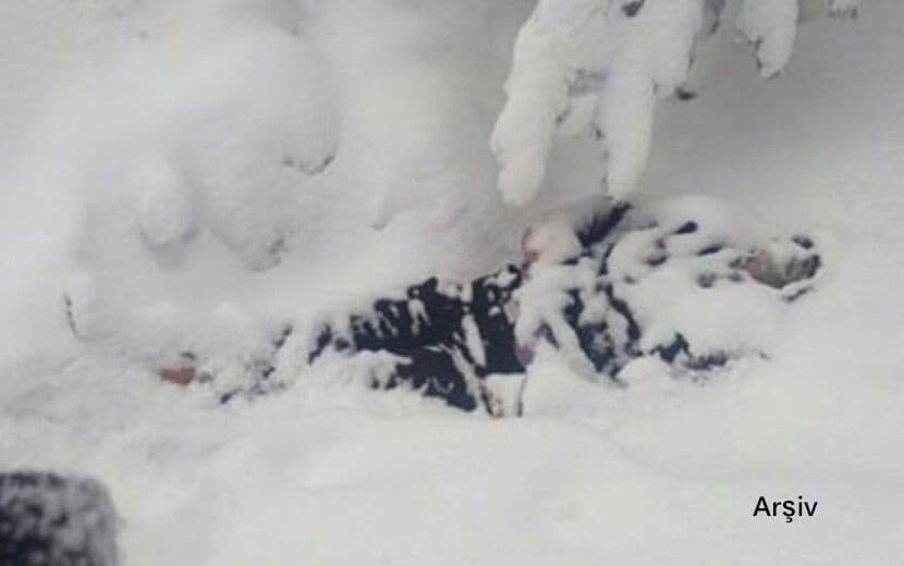 Van’da 13 Göçmen Donarak Öldü