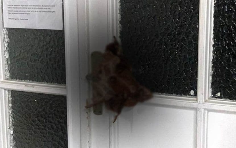 Almanya’da Camiye Alçak Saldırı!