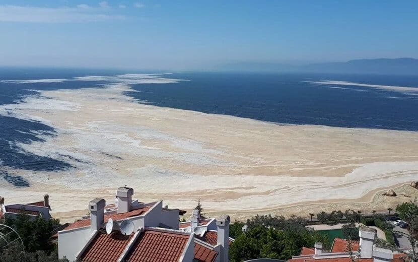 Marmara’da Müsilaj Temizleme Eylem Planı Açıklandı