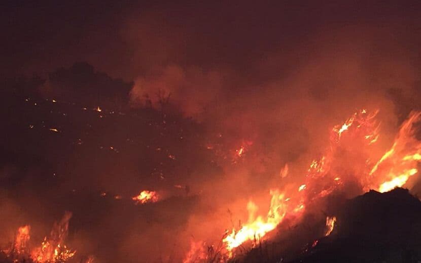 Marmaris, Bingöl, Osmaniye ve Denizli’de Orman Yangınları