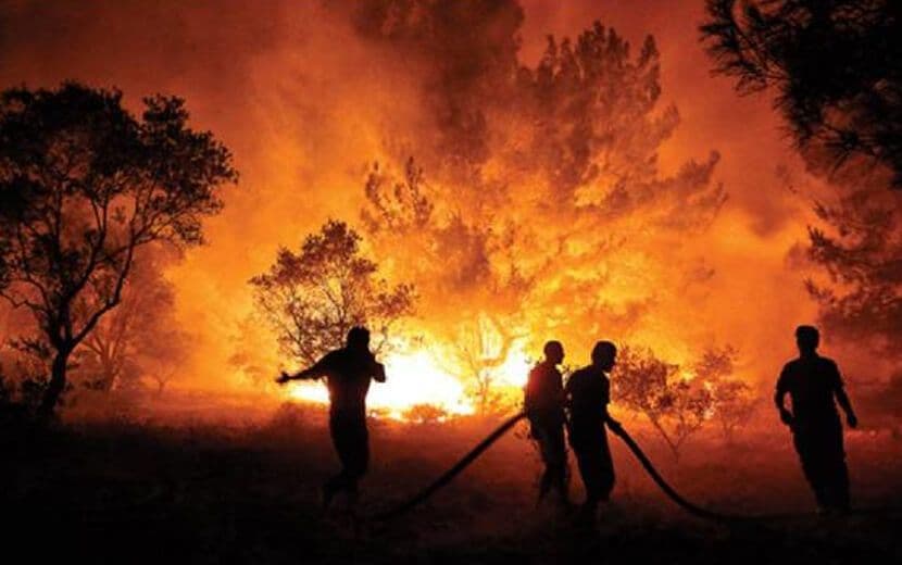 Orman Yangınları: 208 Yangının 196’sı Kontrol Altında