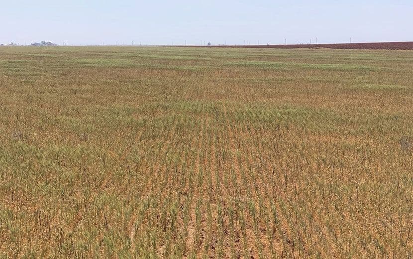 Kapitalizm Ekini ve Nesli İfsat Etti!