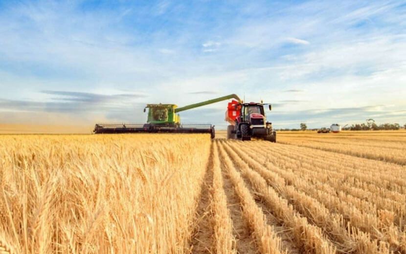 Tarımda ÜFE Yüzde 150’yi Aştı