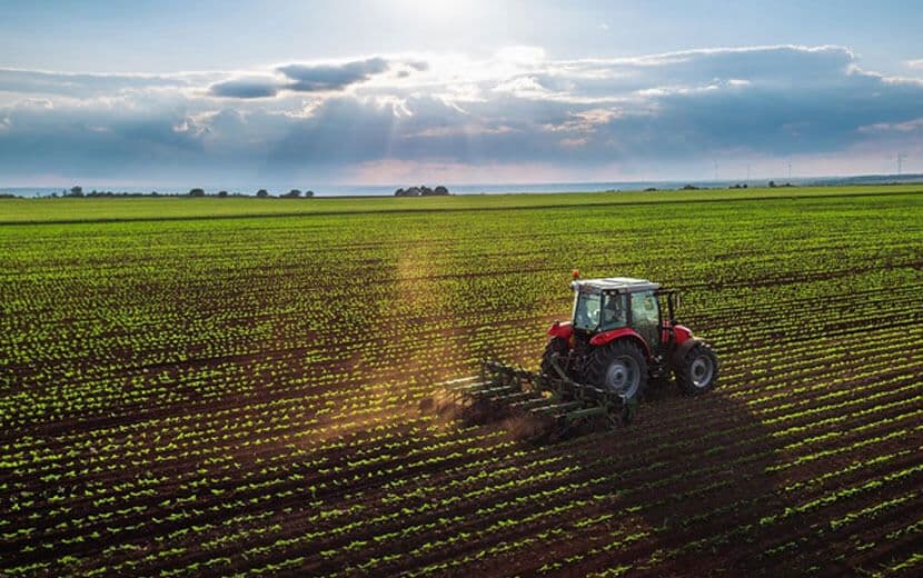 Tarım’da İslam Nizamının Kötü Taklidiyle Çözüm Arayışı