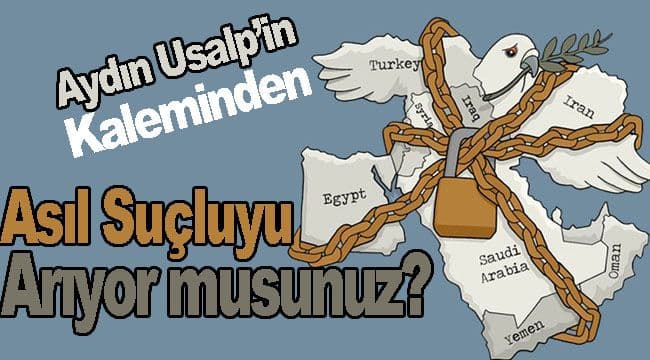 Asıl Suçluyu Arıyor musunuz?