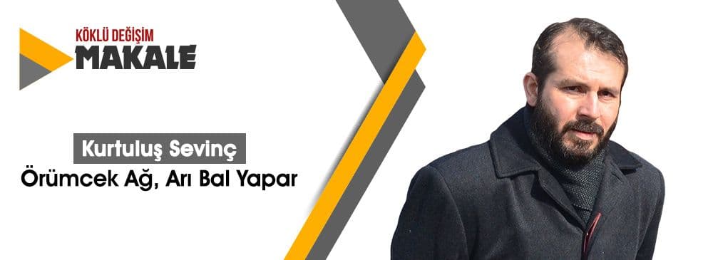 Örümcek Ağ, Arı Bal Yapar