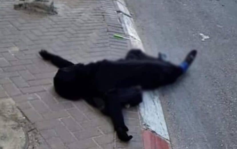 “İsrail” 16 Yaşındaki Öğrenciyi Vurdu