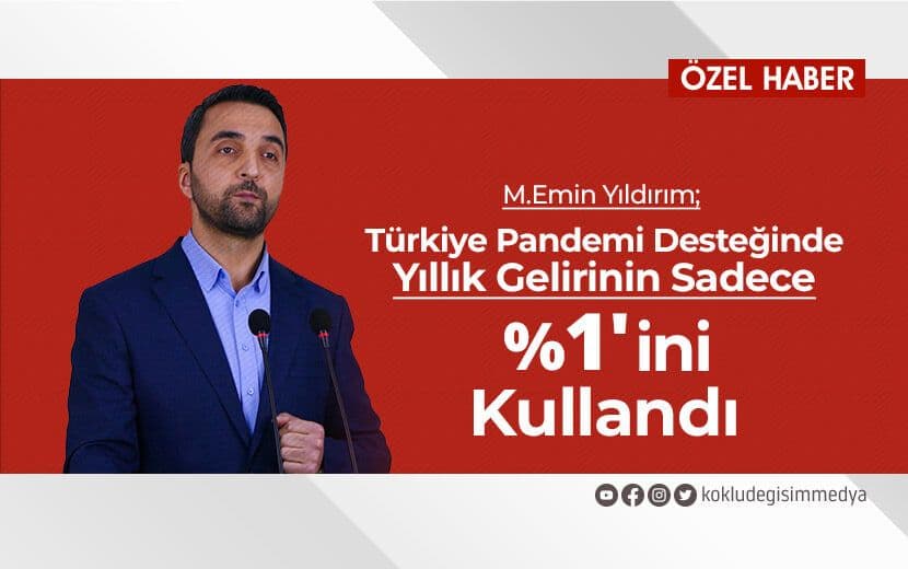 Türkiye Pandemi Desteğinde Yıllık Gelirinin Sadece %1’ini Kullandı