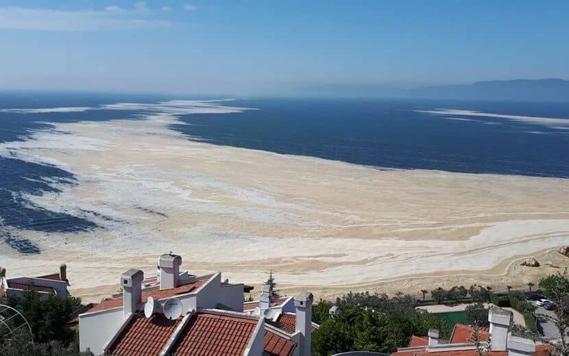Marmara’da Müsilaj Temizleme Eylem Planı Açıklandı