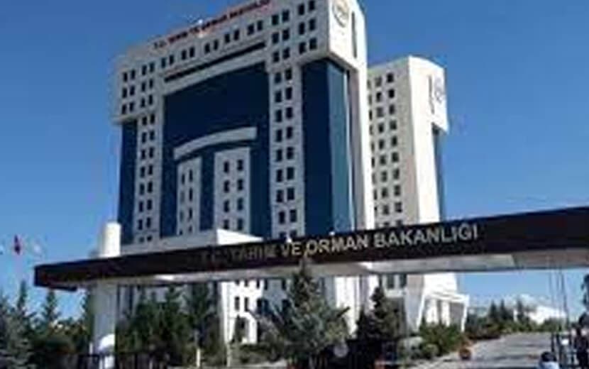 Tarım Bakanlığı’ndan Nişasta Bazlı Şeker Kotası Hakkında Açıklama