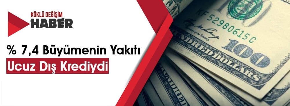 Baskın Seçim Kararının Nedeni Türkiye Ekonomisindeki Endişeler