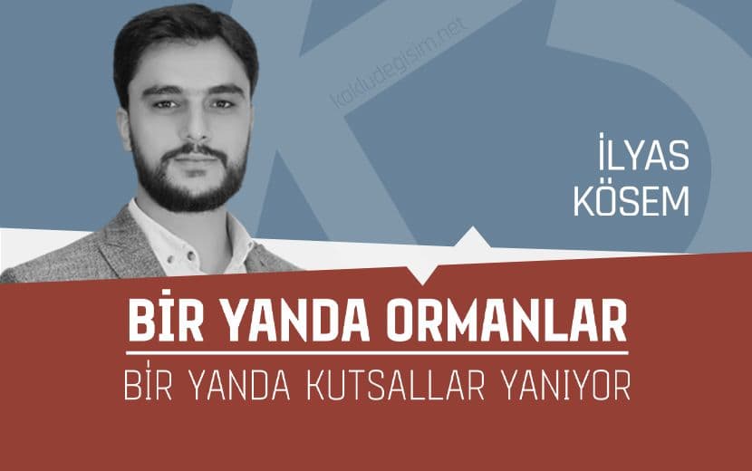 Bir Yanda Ormanlar, Bir Yanda Kutsallar Yanıyor