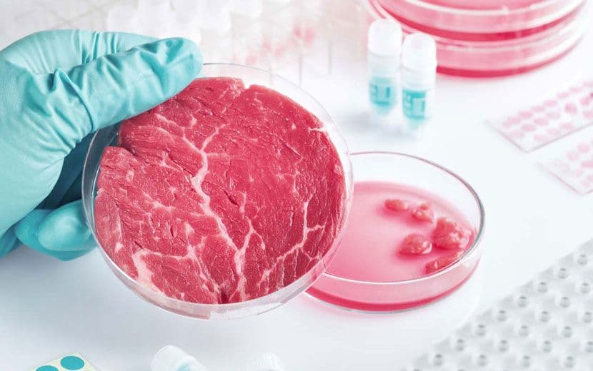İtalya, Yapay Et Üretimini Yasaklıyor